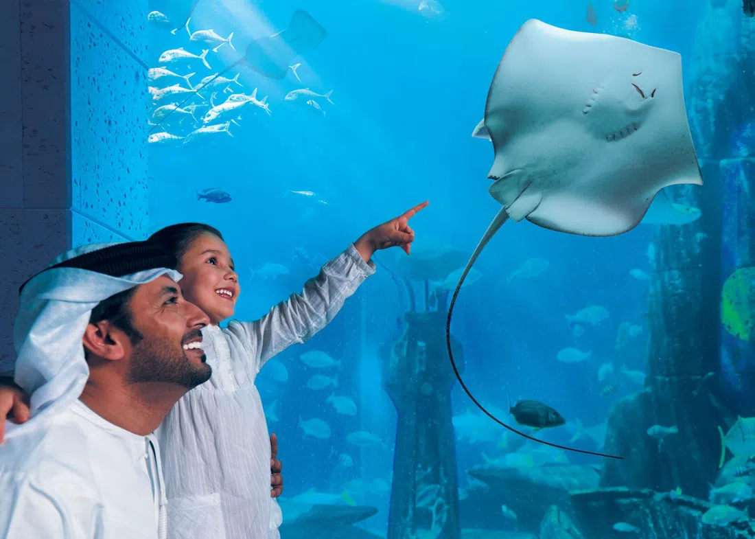 Lost World Aquarium, Dubai