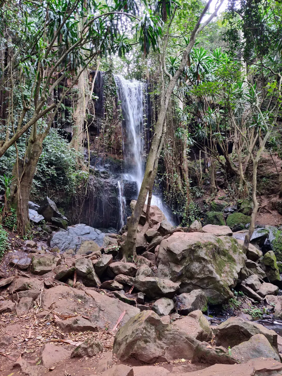 Paradise Lost, Nairobi
