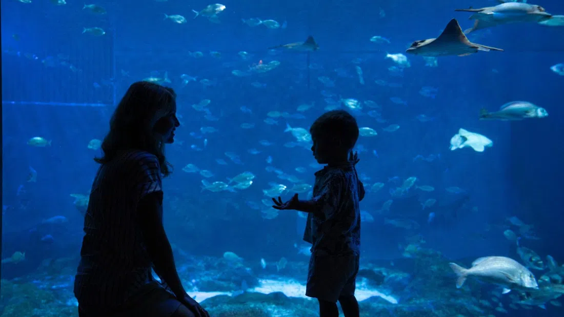 Acuario de Sevilla, Seville