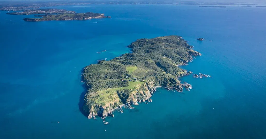 Tiritiri Matangi Island, Auckland