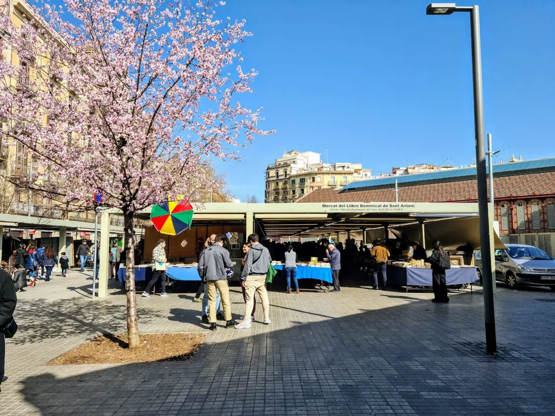 Mercat Dominical de Sant Antoni (book & coin market), Barcelona