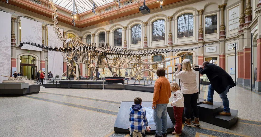 Museum für Naturkunde, Berlin