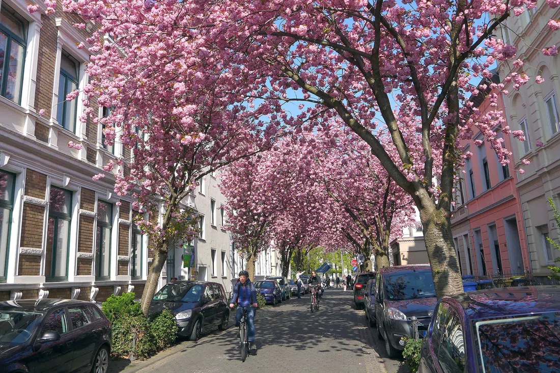 Radstation Bonn, Bonn