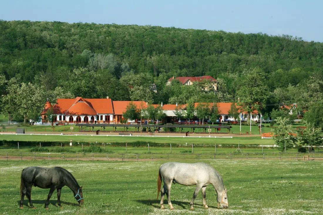 Lázár Equestrian Park (Mythos Resort Domonyvölgy), Budapest
