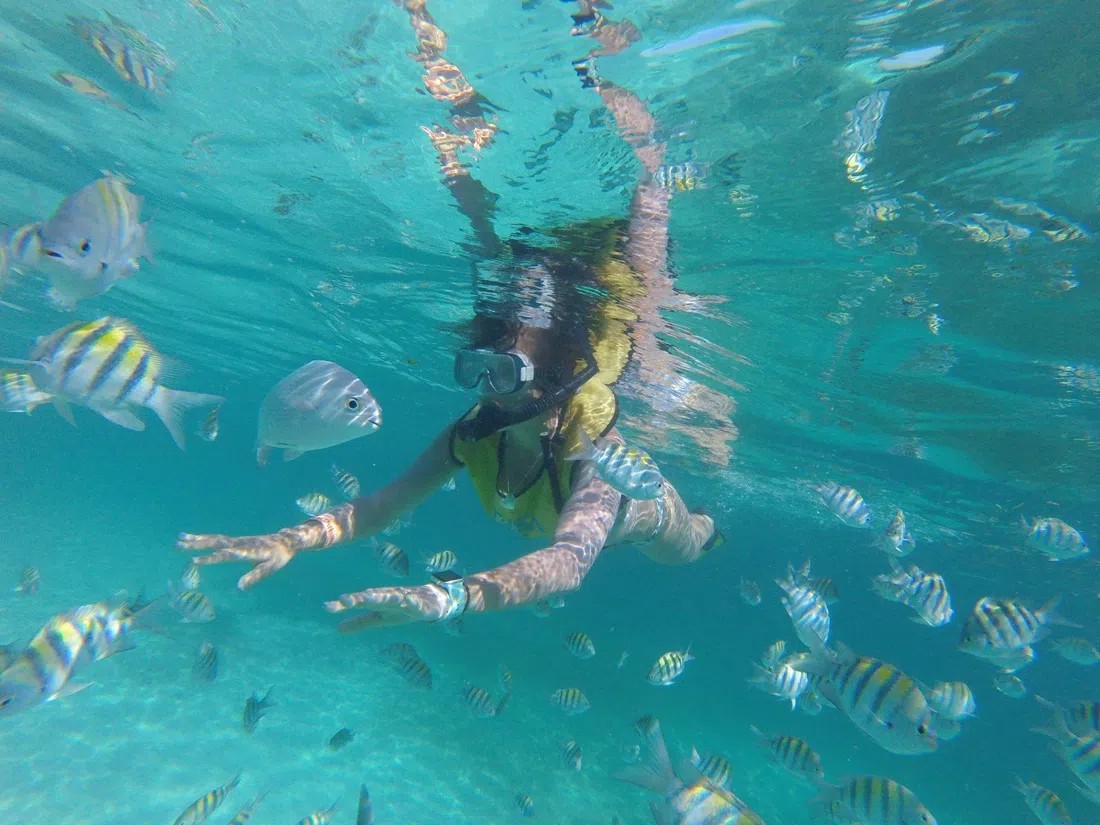 Total Snorkel Cancun, Cancun
