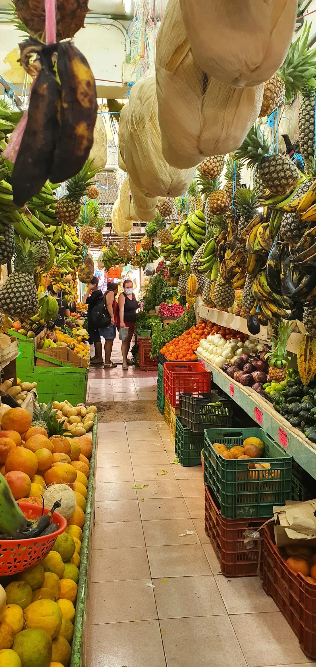 El Paisano del 23, Cancun