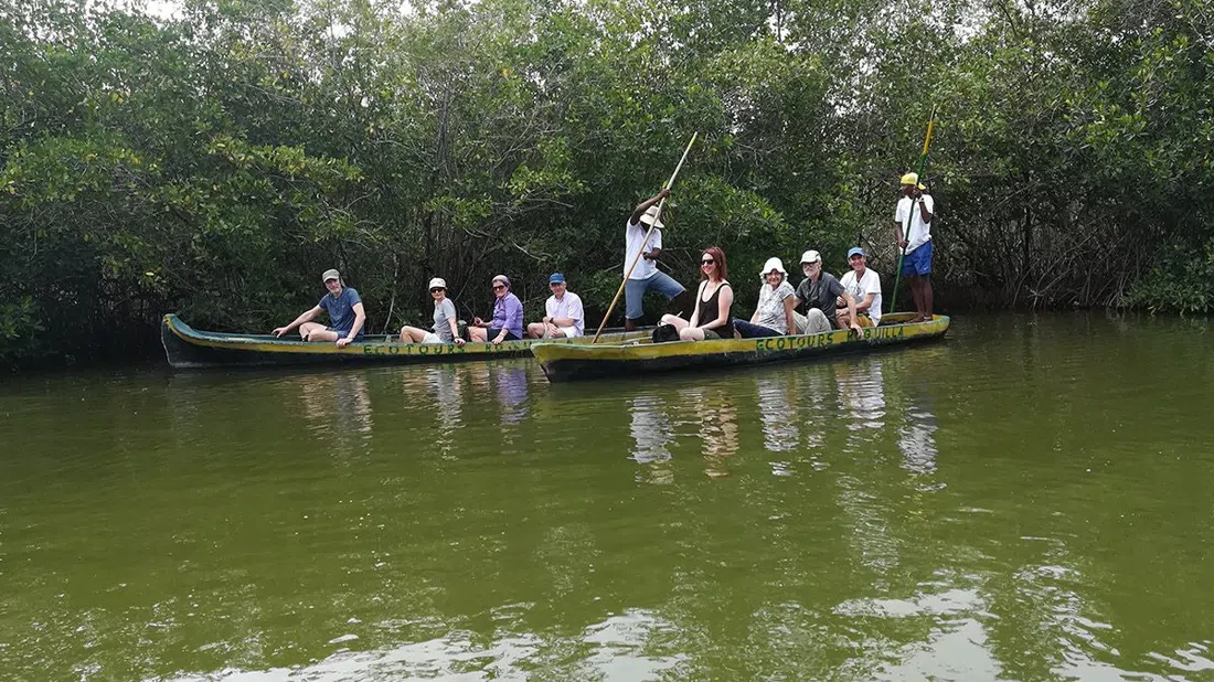 La Boquilla mangrove canoes, Cartagena