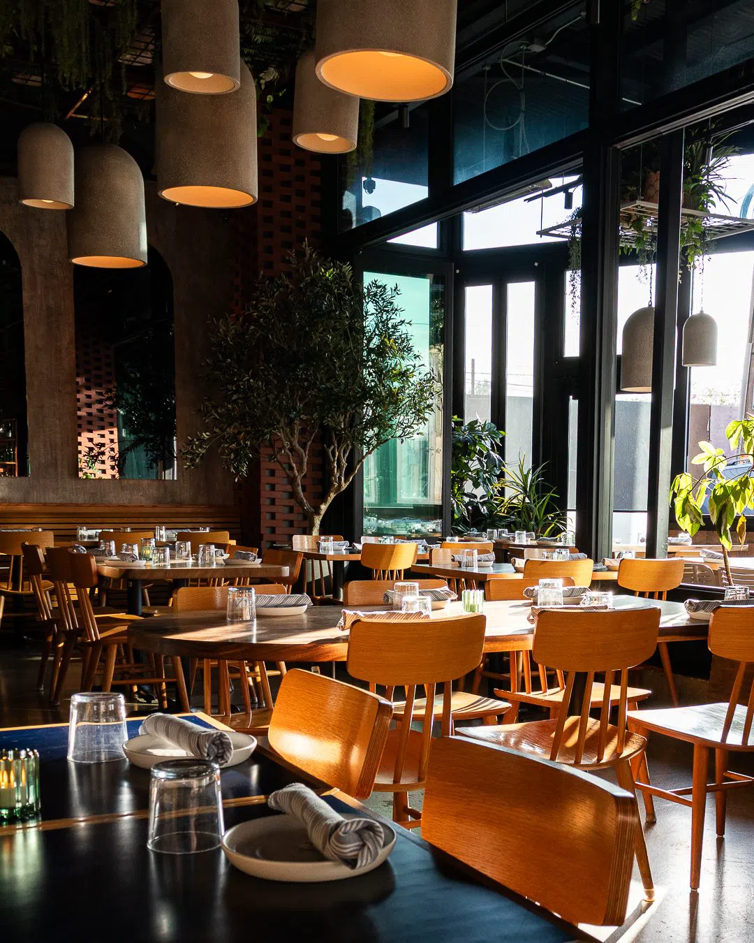 Andros Taverna, Chicago