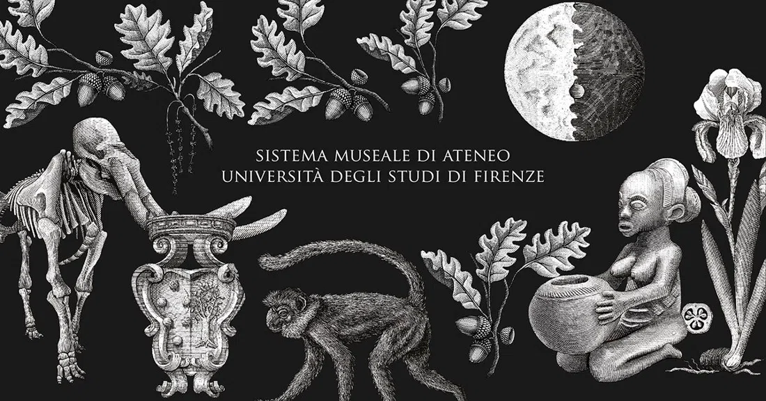 Museo di Storia Naturale – La Specola, Florence