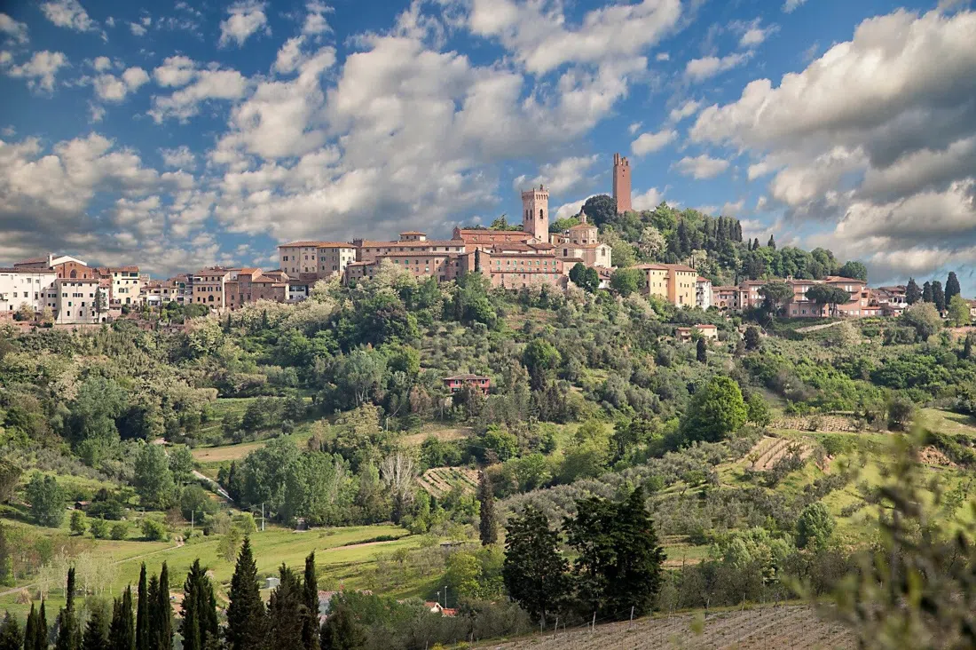 Mostra Mercato Nazionale del Tartufo Bianco di San Miniato, Florence