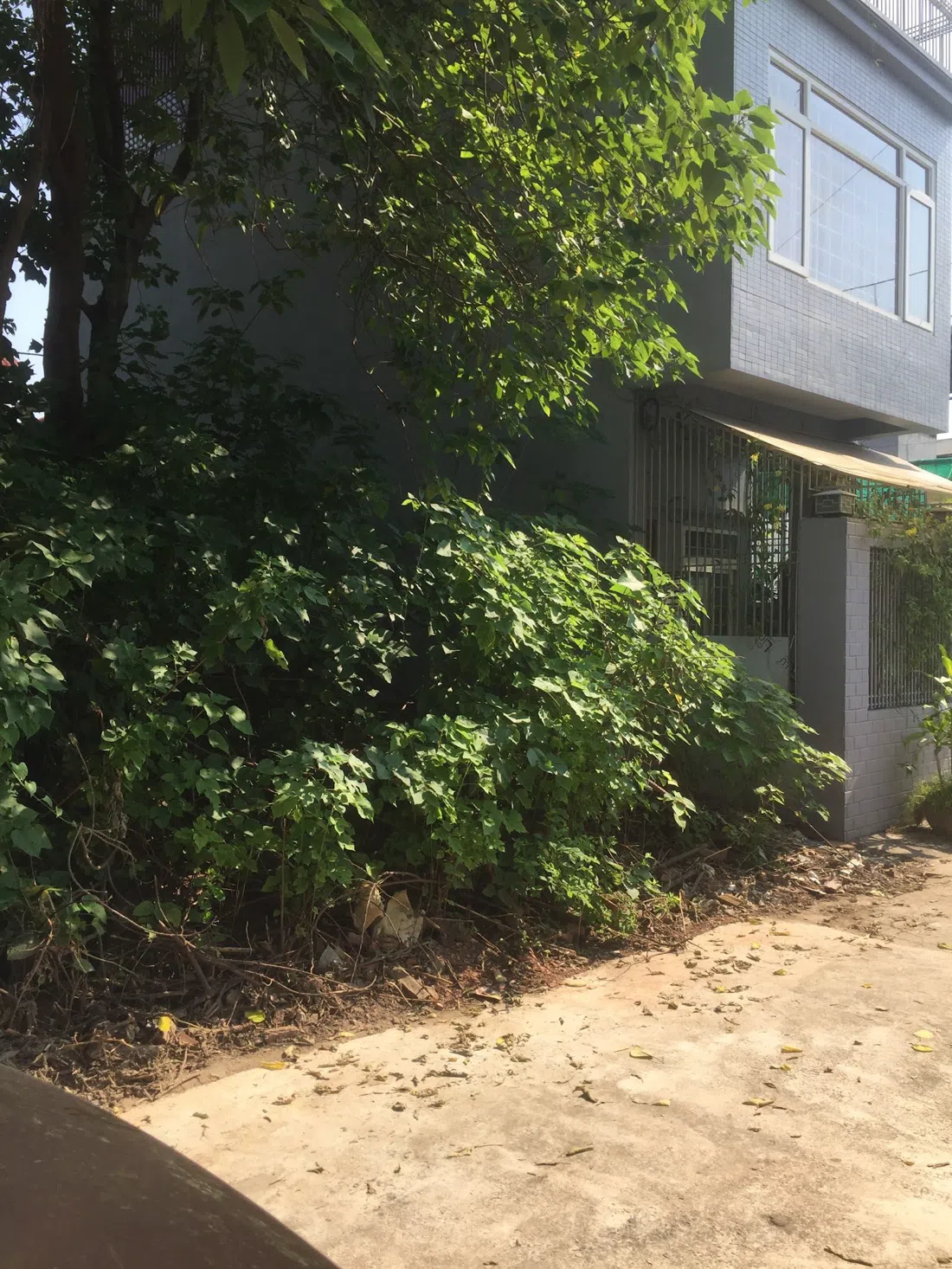 Mai Châu, Hanoi