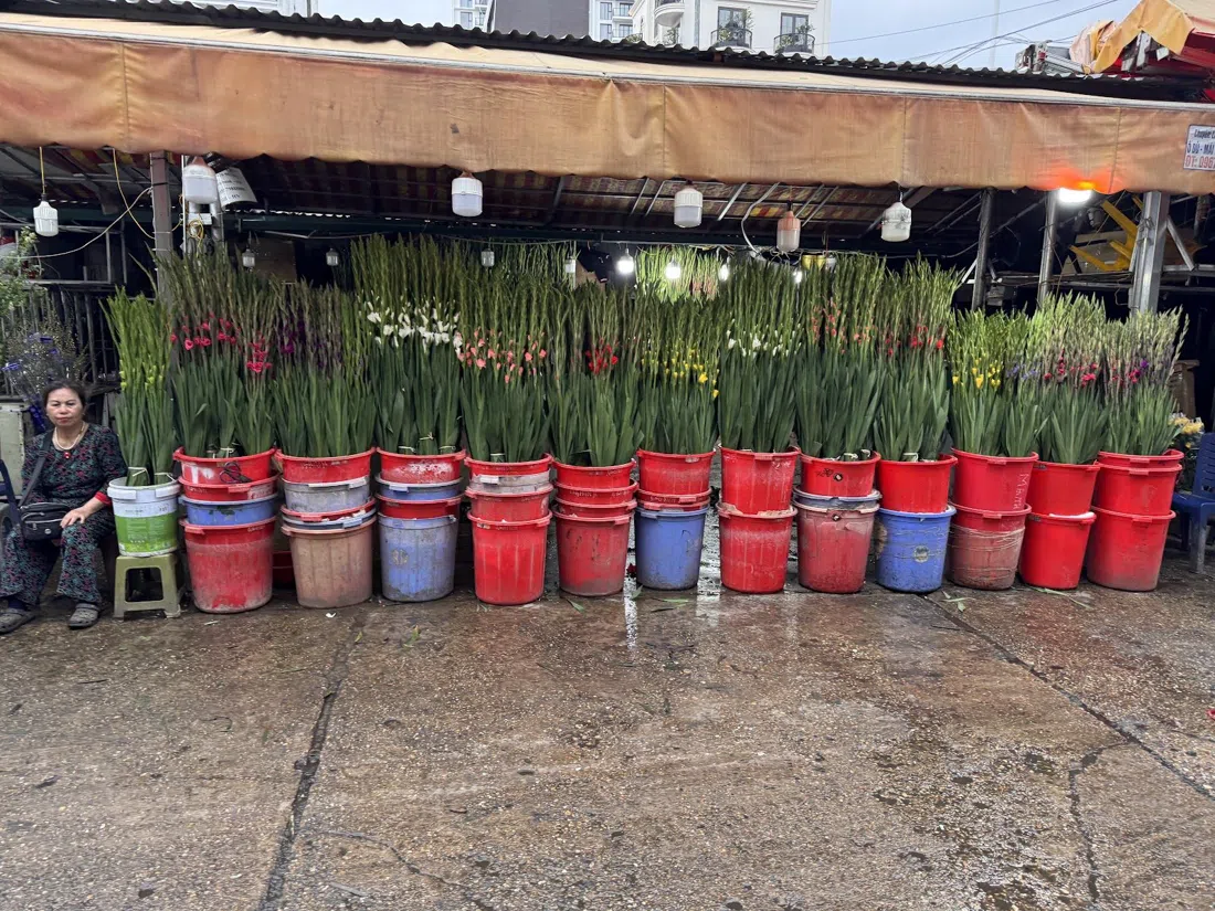 Quảng Bá Flower Market, Hanoi