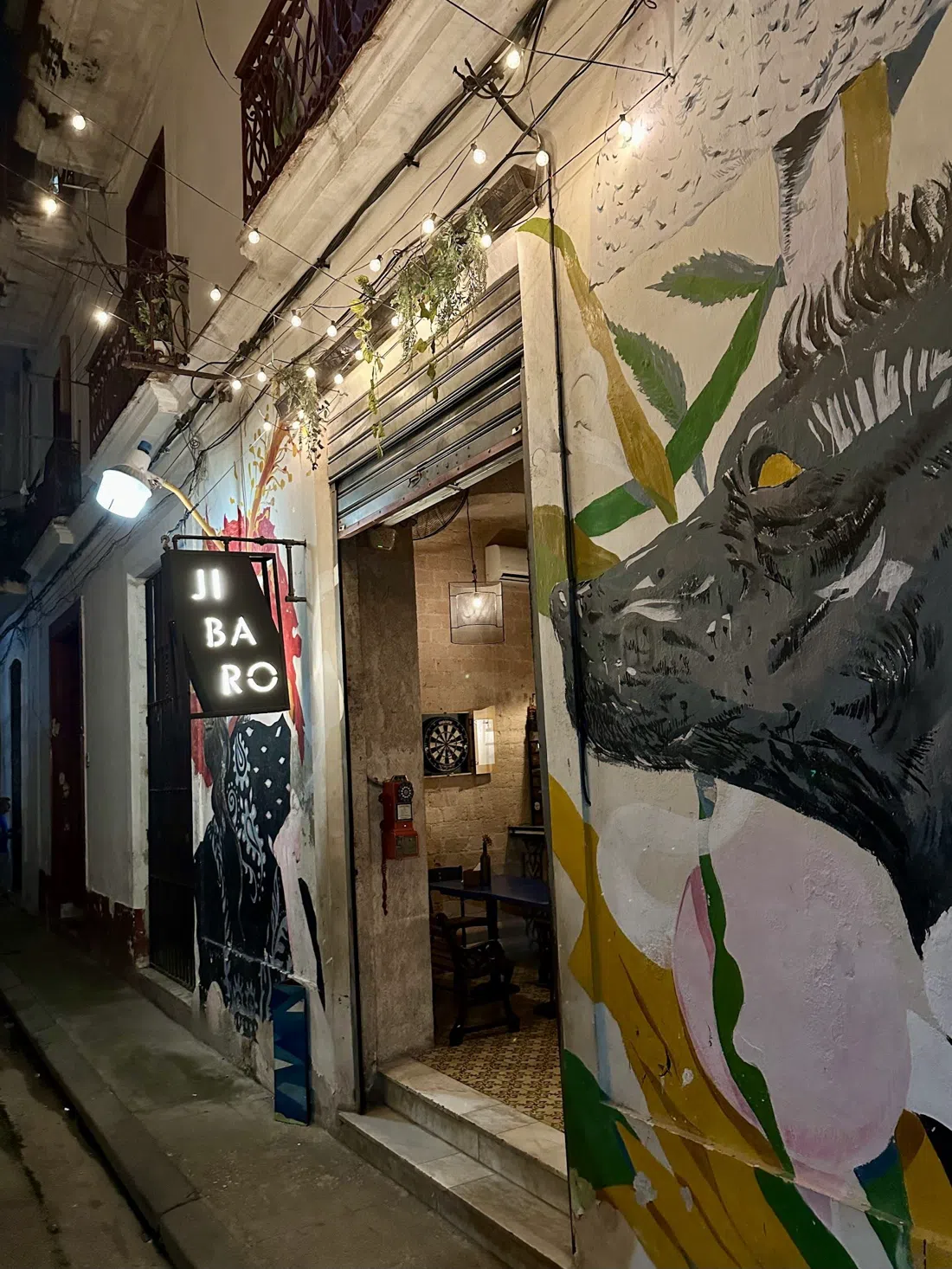 Jíbaro, Havana