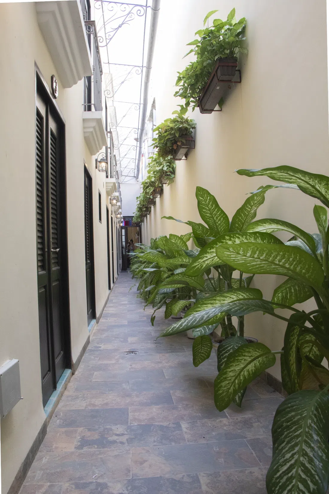 La Posada de Chacón, Havana