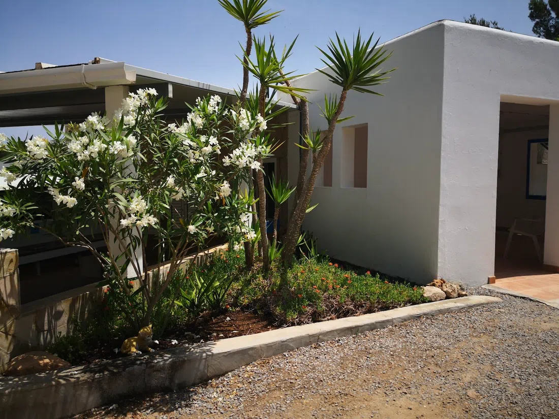 Camping Cala Bassa, Ibiza