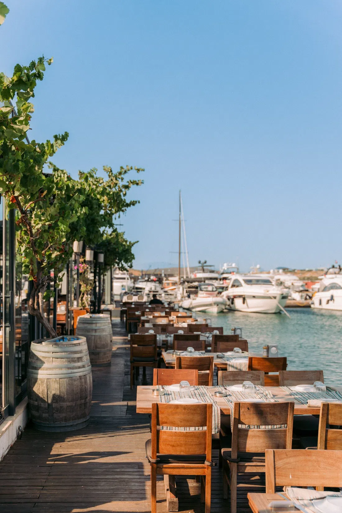 Ferdi Baba – Port Alaçatı, Izmir