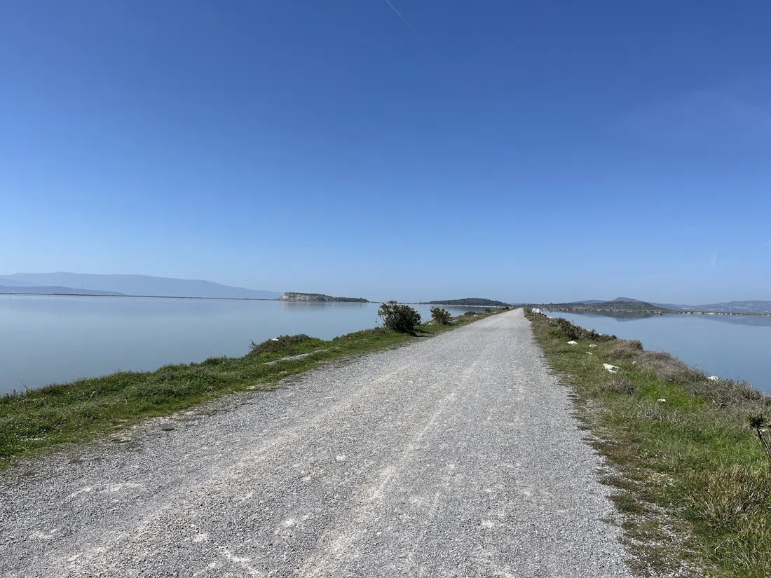 İzmir Kuş Cenneti / Gediz Deltası (İzmir Bird Paradise), Izmir