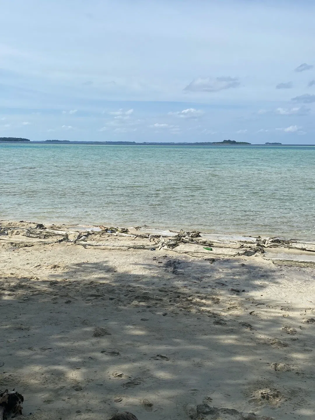 Pulau Semak Daun, Jakarta