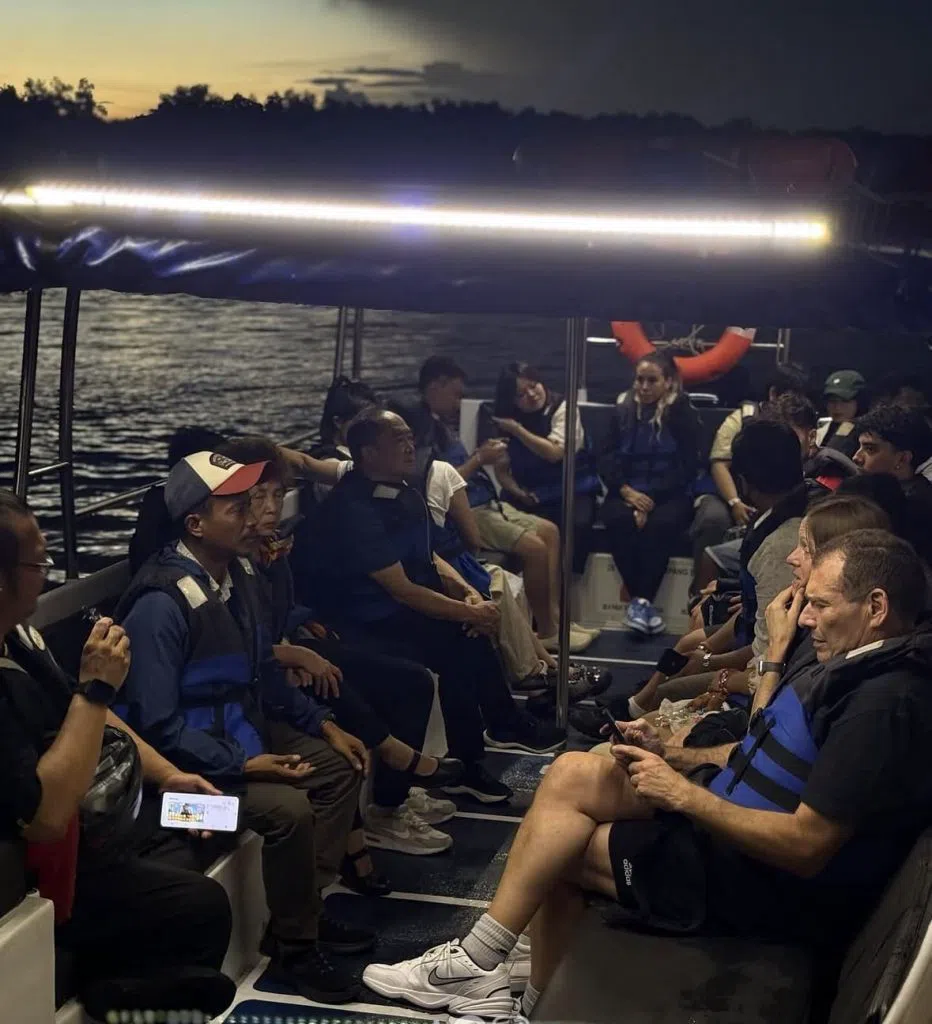 Kuala Selangor Fireflies (guided KL tour), Kuala Lumpur