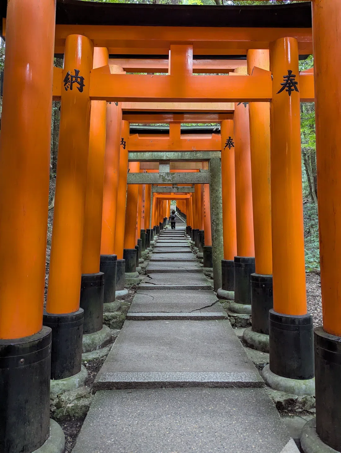 Yotsutsuji junction viewpoint, Kyoto