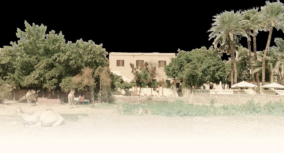 Marsam Hotel garden restaurant, Luxor