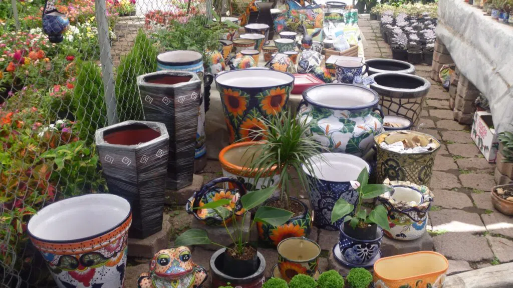 Mercado de Plantas y Flores de Cuemanco, Mexico City