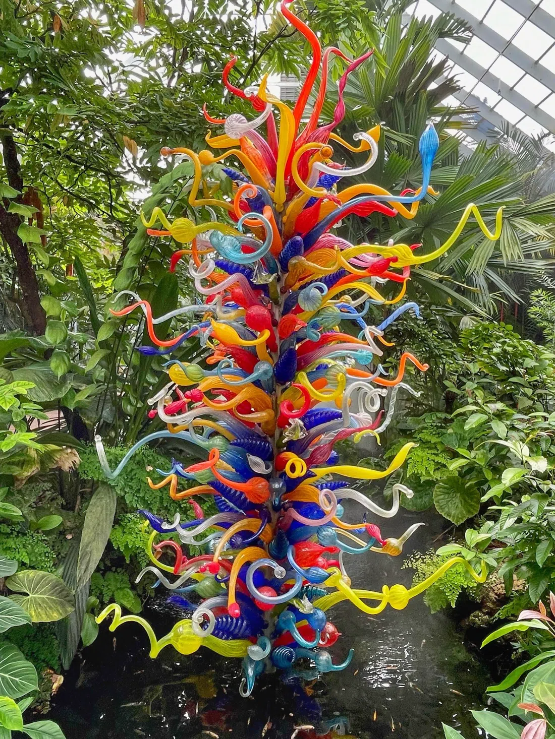 Fairchild Tropical Botanic Garden — International Mango Festival, Miami
