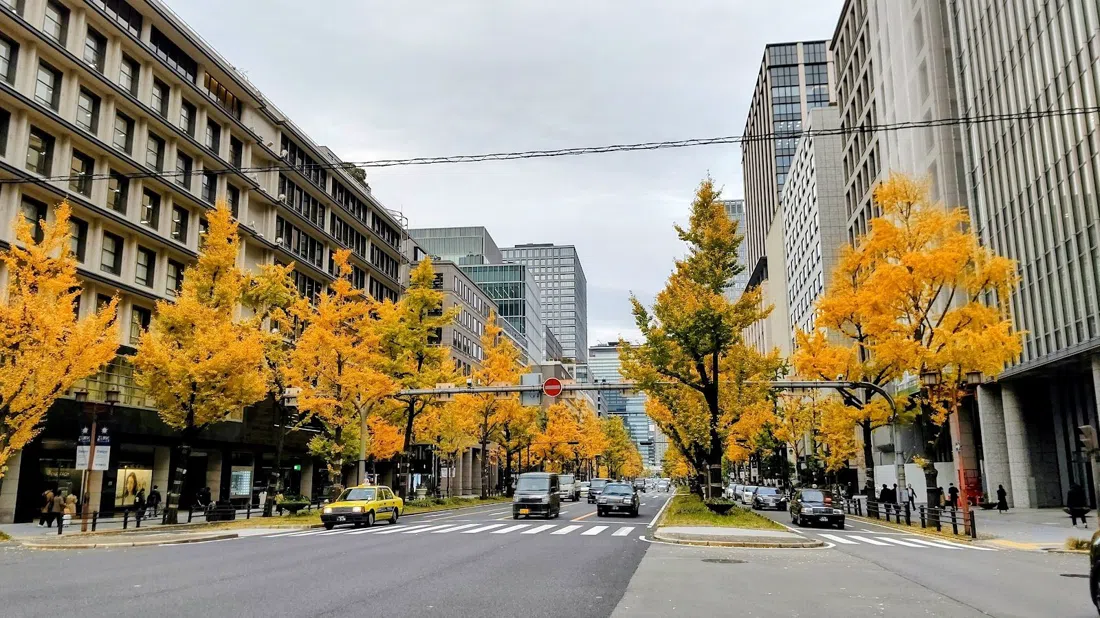 Midosuji Boulevard, Osaka
