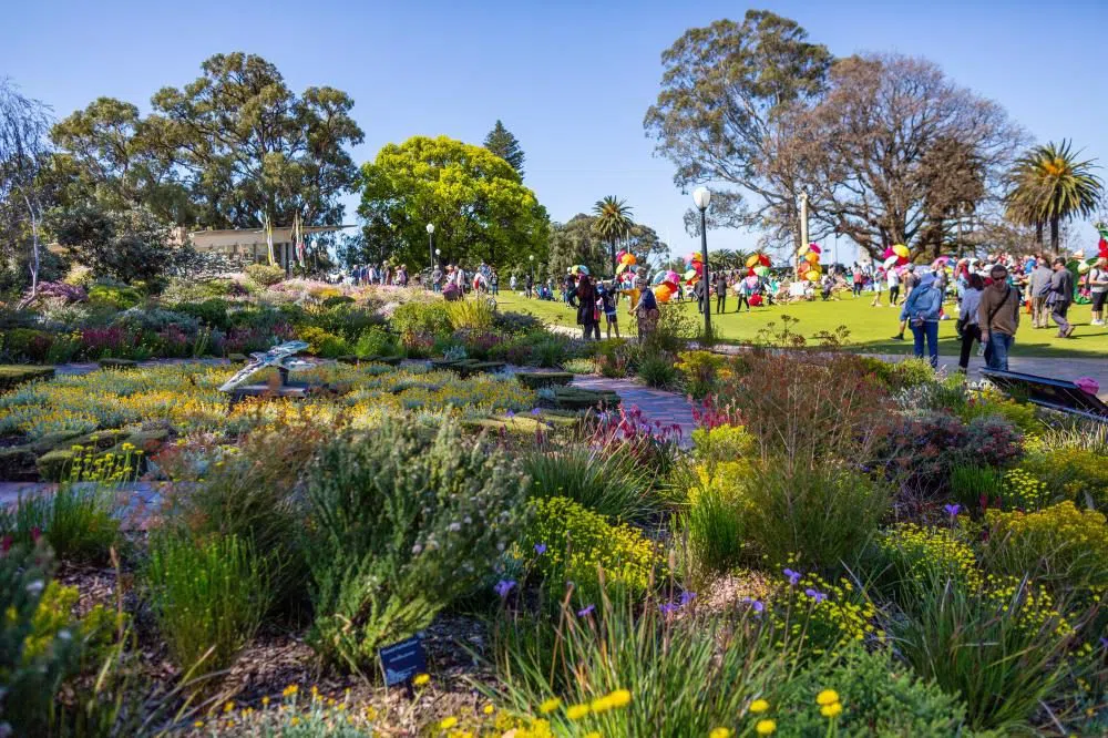 Kings Park and Botanic Garden (Everlasting Kings Park Festival), Perth