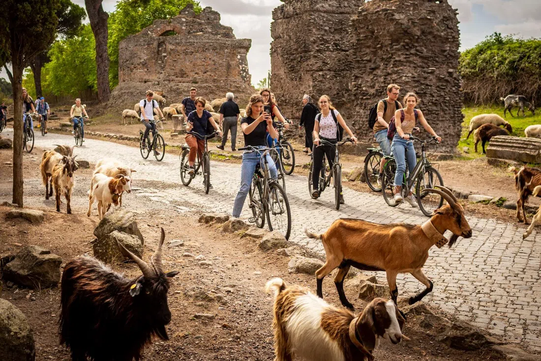 Centro Servizi Appia Antica (EcoBike), Rome