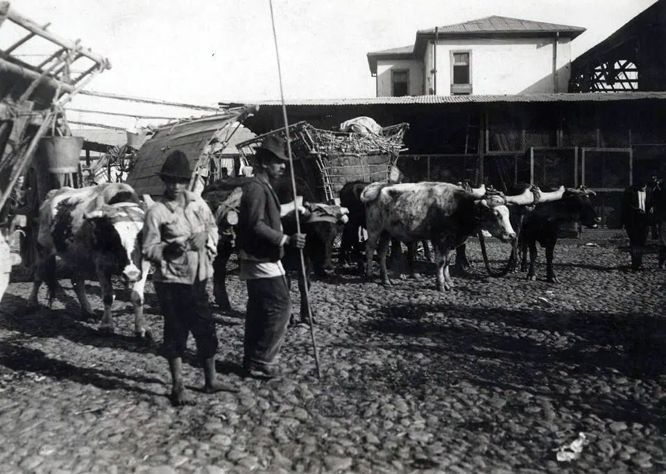 La Vega Central, Santiago