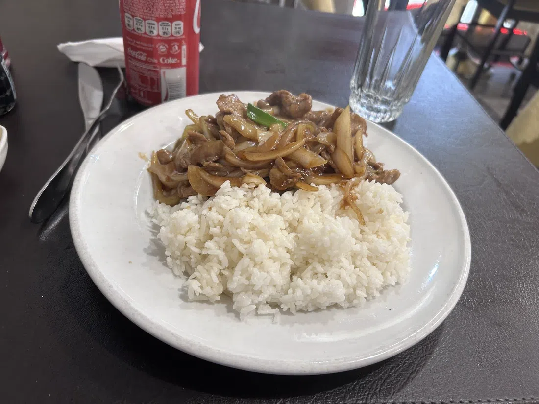 Restaurante JiaYouYuan (佳友苑), Santiago