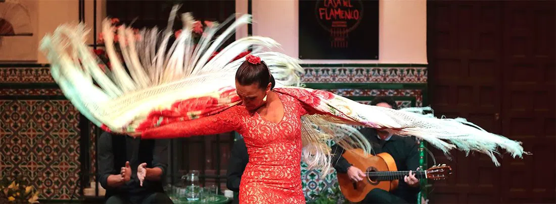 La Casa del Flamenco, Seville