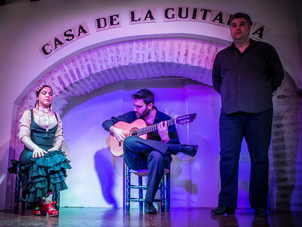 Casa de la Guitarra, Seville