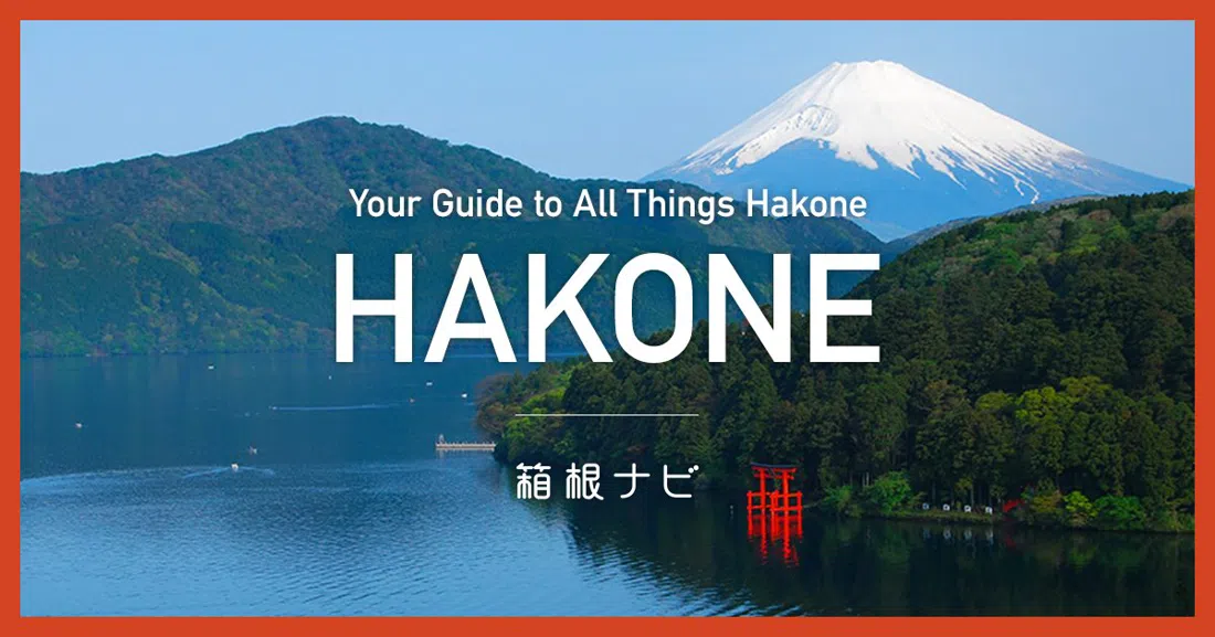 Hakone Tozan Railway, Tokyo