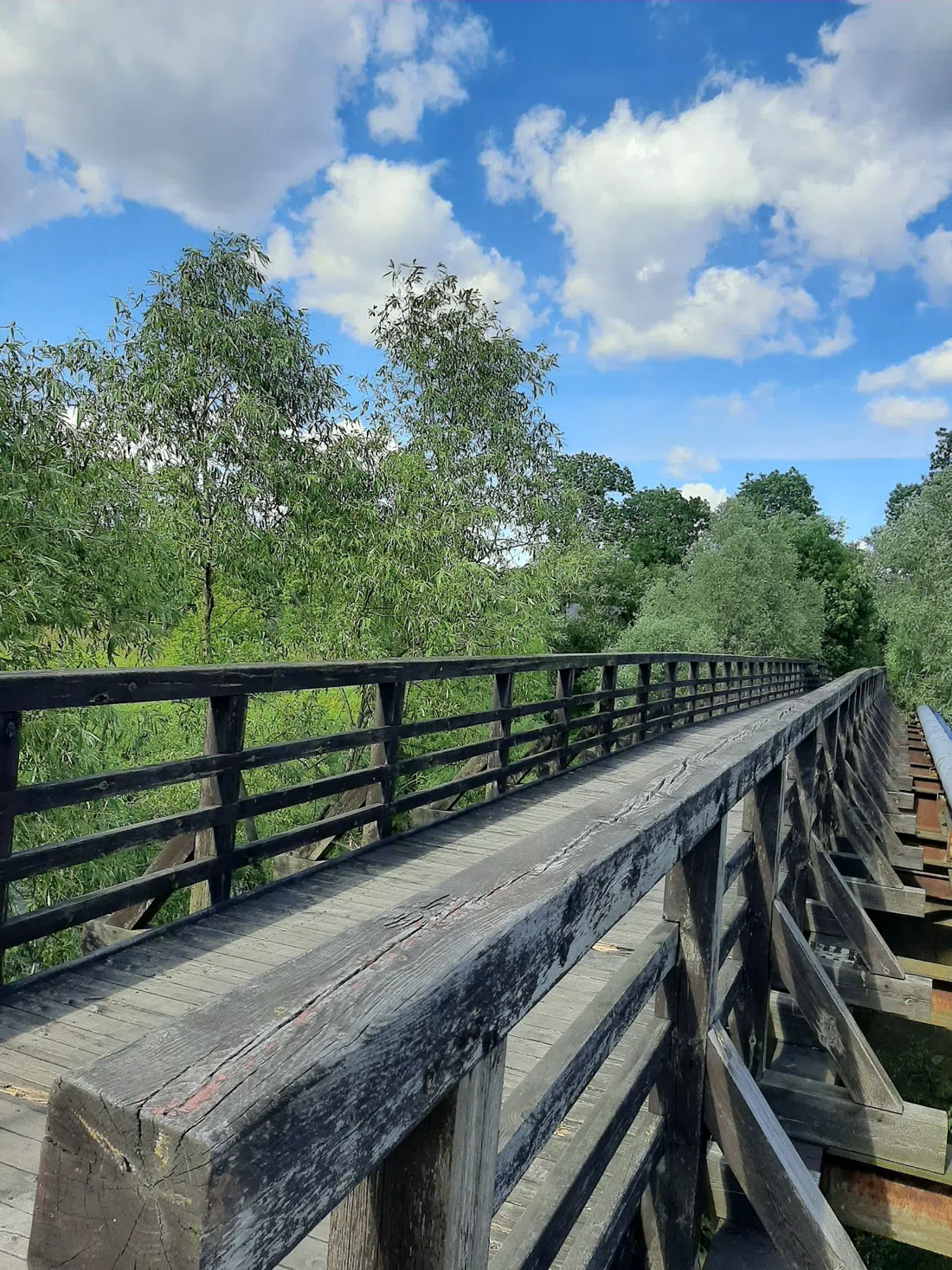 Stary most Kaszczorek – Złotoria (1893 wooden bridge over the Drwęca), Torun