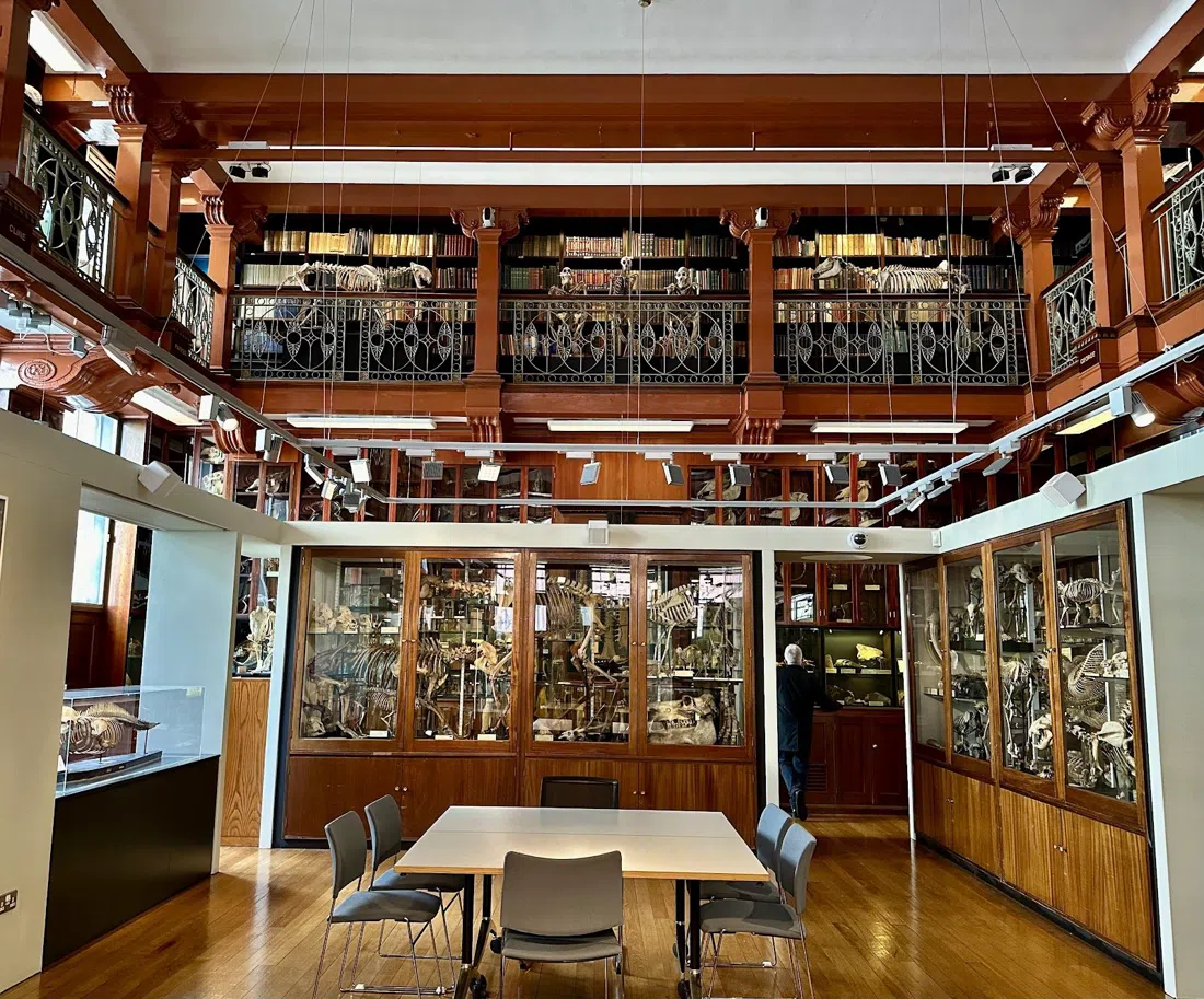 Grant Museum of Zoology, London