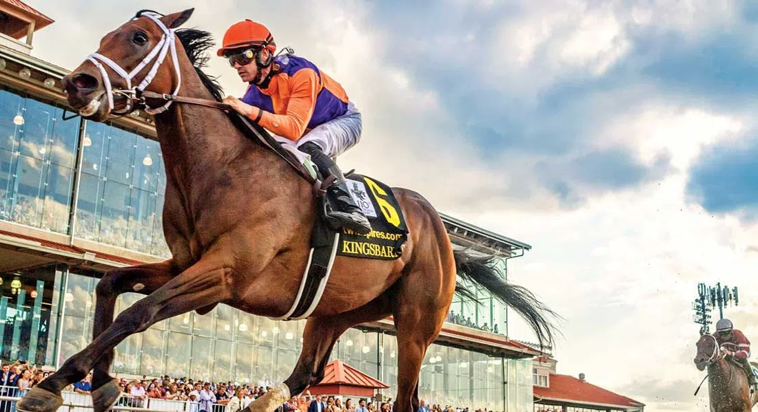 Fair Grounds Race Course & Slots, New Orleans